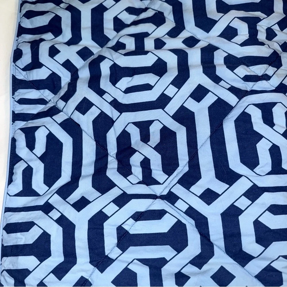 Pottery Barn Terri Trellis euro pillow sham